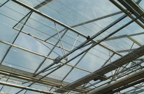 Modern Glass Greenhouse With Polycarbonate Roof