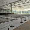 Modern Glass Greenhouse With Polycarbonate Roof