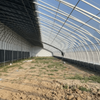 High Quality Greenhouse Wwith Insulation Quilt