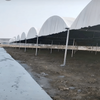 Black-White Film Greenhouse For Optimal Mushroom Growth