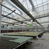 Multi-Span PC Greenhouse