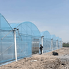 Premium Flim Multi-Span Greenhouse