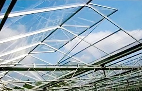High-Efficiency Venlo Greenhouse With Glass For Hydroponics