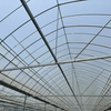 Multi-span Film Greenhouse For Grape Cultivation