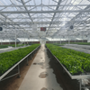 High-Efficiency Venlo Greenhouse With Glass For Hydroponics