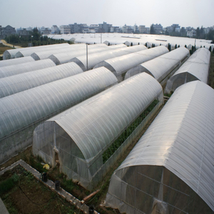 Tunnel Film Greenhouse