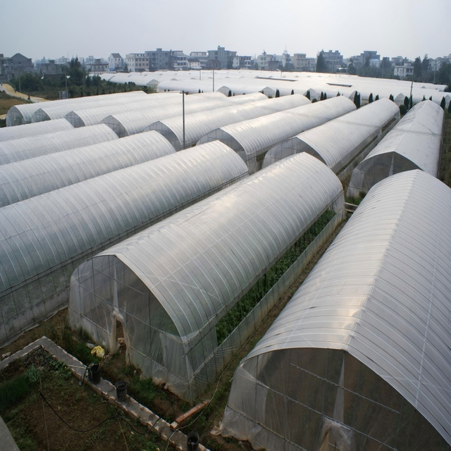 Tunnel Film Greenhouse