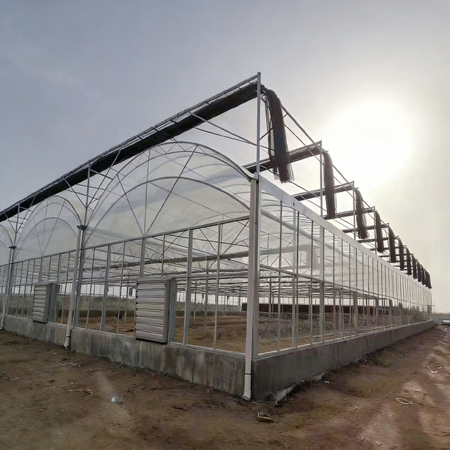 Double Layer Inflated Film Greenhouse