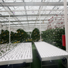 Hydroponic And Soilless Glass Greenhouse