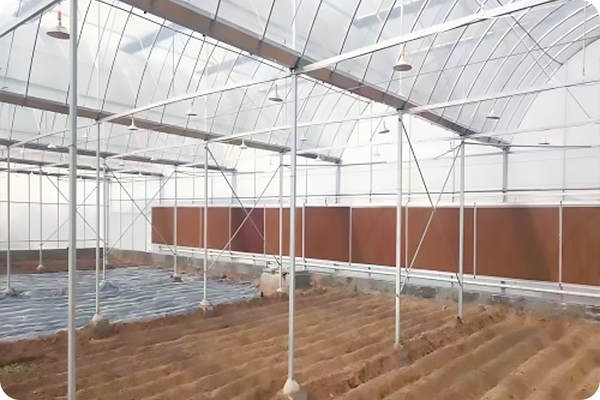 How To Balance Ventilation And Insulation In Multi-Span Glass Greenhouses?
