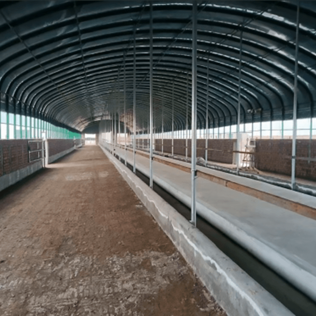 3 Layer Covers Poultry Breeding Greehouse