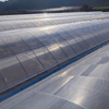 Plastic Film Single-span Tunnel Plant Growth Greenhouse