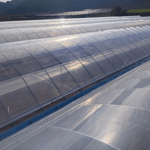 Plastic Film Single-span Tunnel Plant Growth Greenhouse