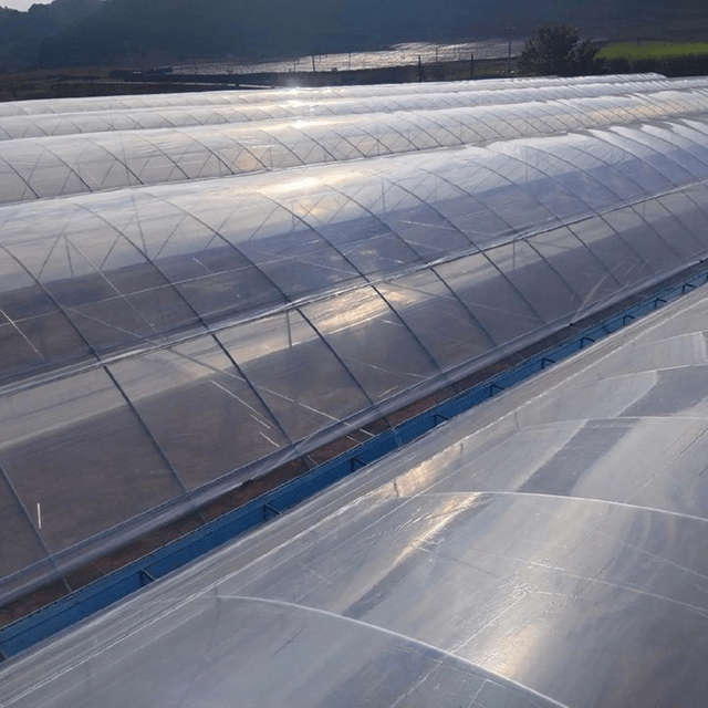 Plastic Film Single-span Tunnel Plant Growth Greenhouse