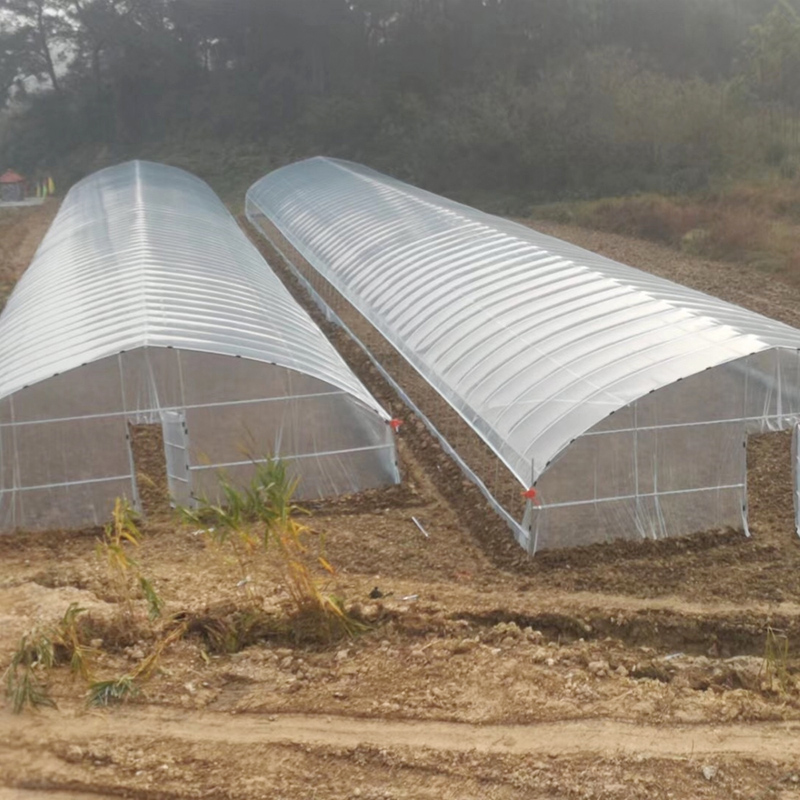 High Quality Film Single Span Agricultural Greenhouse