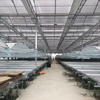 Stable Arched Glass Greenhouse