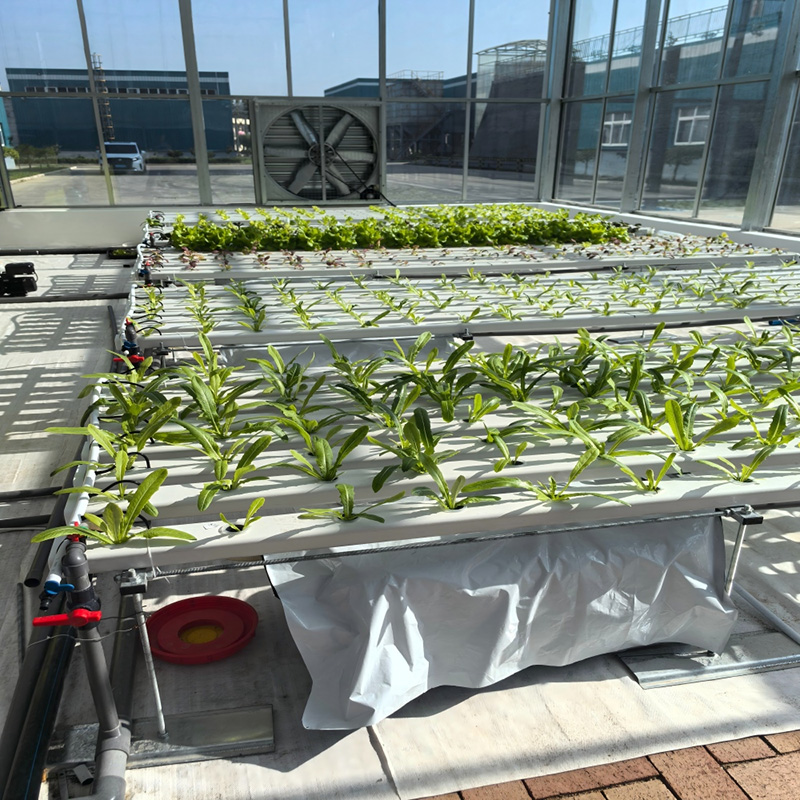 Efficient Water-Fertilizer Controlled Greenhouse