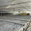 Modern Glass Greenhouse With Polycarbonate Roof