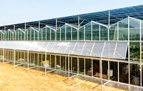 High-Efficiency Venlo Greenhouse With Glass For Hydroponics
