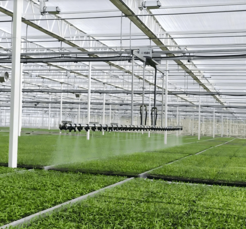 Commercial Vegetable Glass Greenhouse