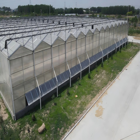 Venlo Polycarbonate Greenhouse (2).jpg