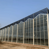 Multi-purpose Glass Agricultural Multi-span Greenhouse