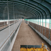 3 Layer Covers Poultry Breeding Greehouse