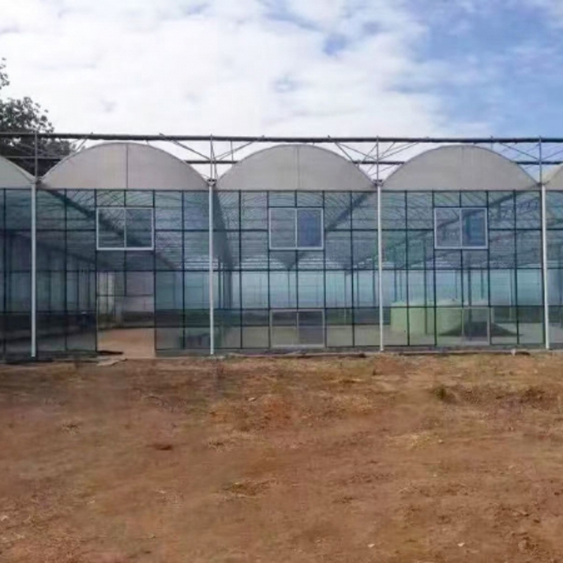 Stable Arched Glass Greenhouse