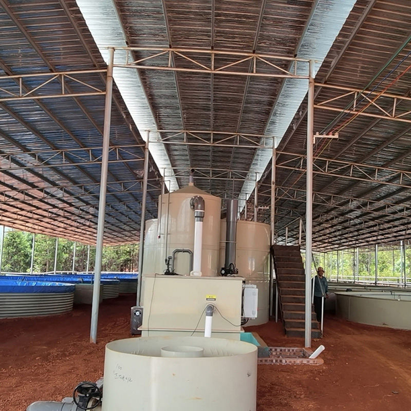 3 Layer Covers Poultry Breeding Greenhouse