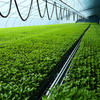Plastic Film Single-span Tunnel Plant Growth Greenhouse