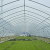 Construction Of Single Greenhouse For Hydroponic Seedling
