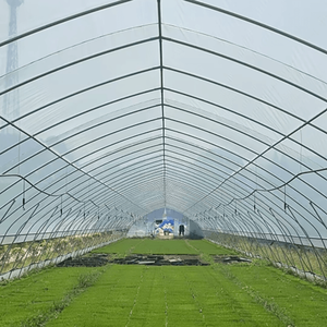 Construction Of Single Greenhouse For Hydroponic Seedling