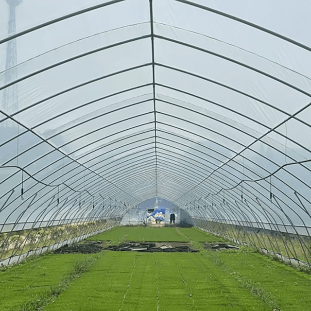 Construction Of Single Greenhouse For Hydroponic Seedling