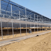 Multi-Span Film Agricultural Commercial Plastic Greenhouse