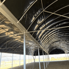 Black-White Film Greenhouse For Optimal Mushroom Growth