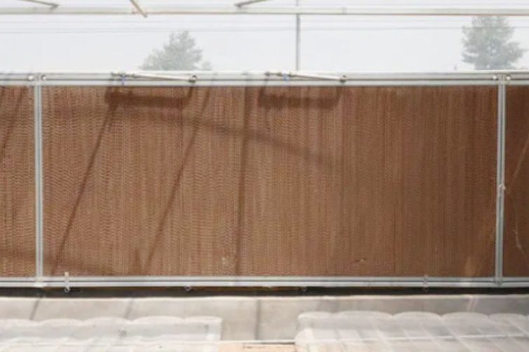 High Quality Greenhouse with Insulation Quilt