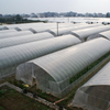 High Quality Film Single Span Agricultural Greenhouse