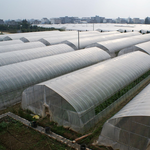 High Quality Film Single Span Agricultural Greenhouse