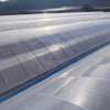 Single Greenhouse For Seedling Raising