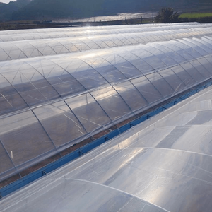 Single Greenhouse For Seedling Raising