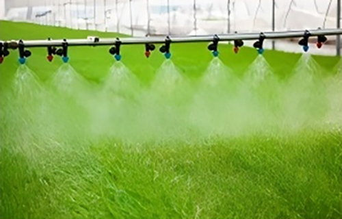 High-Efficiency Venlo Greenhouse With Glass For Hydroponics