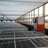 Venlo PC Sheet Greenhouse