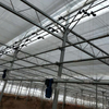 Gothic Film Greenhouse