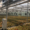 Double Layer Inflated Film Greenhouse