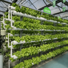 Hydroponic And Soilless Glass Greenhouse