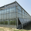 Multi-purpose Glass Agricultural Multi-span Greenhouse