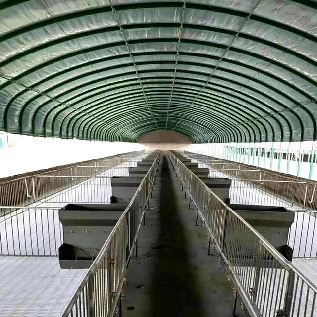Single Greenhouse For Poultry Breeding