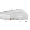 Plastic Film Single-span Tunnel Plant Growth Greenhouse