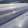 Construction Of Single Greenhouse For Hydroponic Seedling