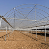 Black-White Film Greenhouse For Optimal Mushroom Growth